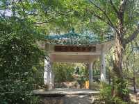 行山好去處：青衣自然徑