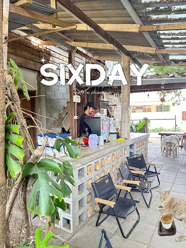 ร้านกาแฟลับๆ แบบไม่ลับมาก พร้อมเด็กเอน 2-3 ตัว🐈🐕