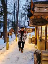 Frozen Beauty & Fairy Lights: Winter Road Trip from Asahikawa to Biei & Furano