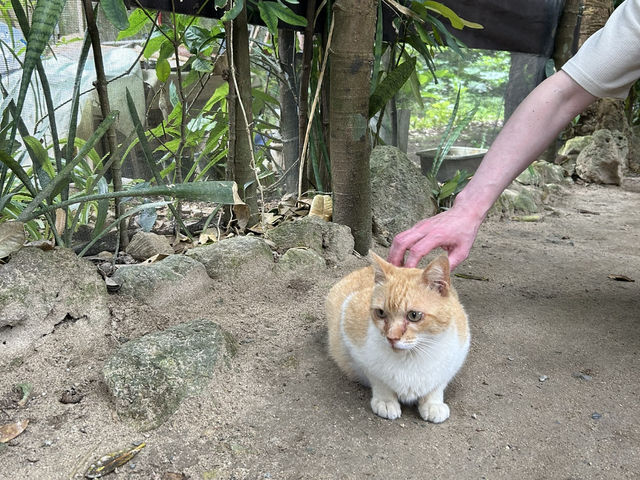 【沖縄本島】景色と美食を楽しむ贅沢な3日間