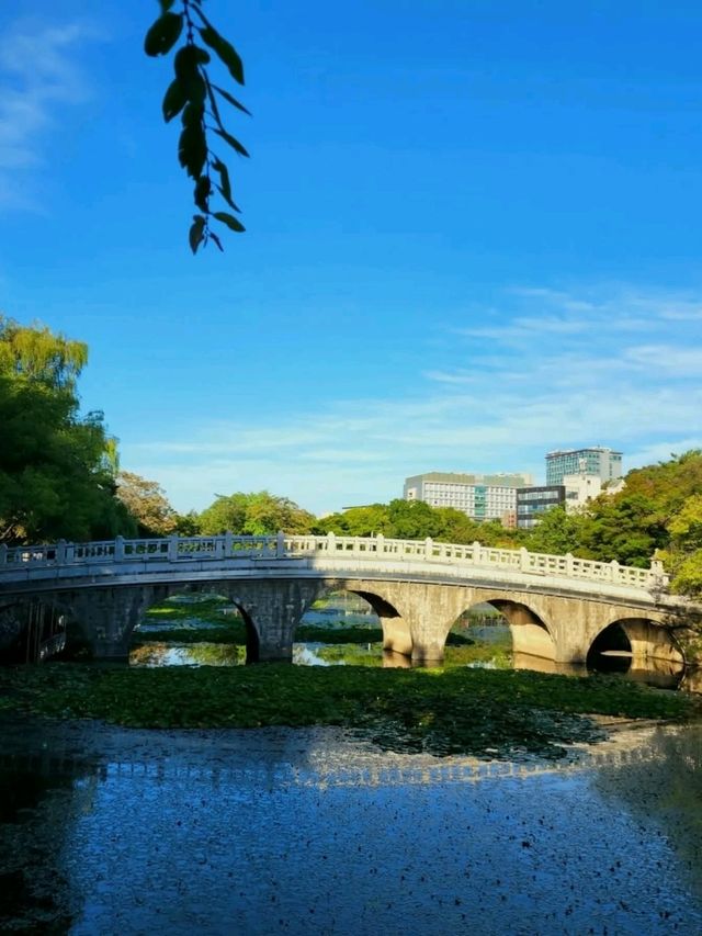 Discovering Daegu: A Perfect Blend of Tradition and Modernity