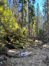 Spring Awakens in Oslo: Where Fjords Meet Art & Nature
