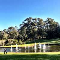 Kings Park and Botanic Garden