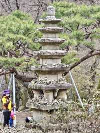 The Beauty of Daewonsa