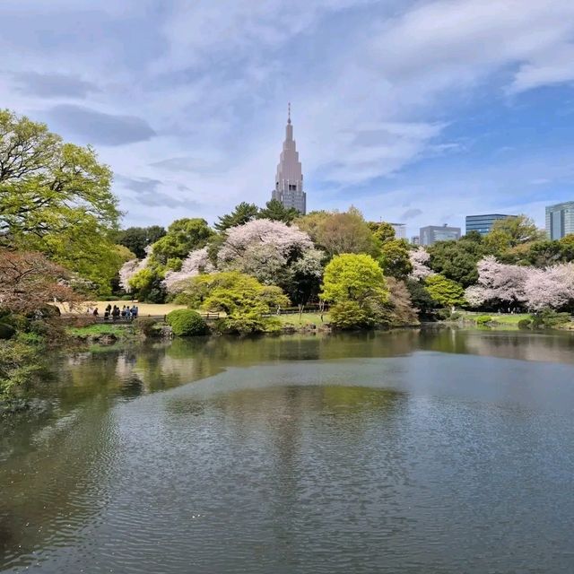Shinjuku Gyoen – A Quiet Breath in the Heart of Tokyo