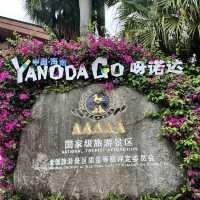 Immersed in Nature: Exploring Yanoda Rainforest in Hainan 