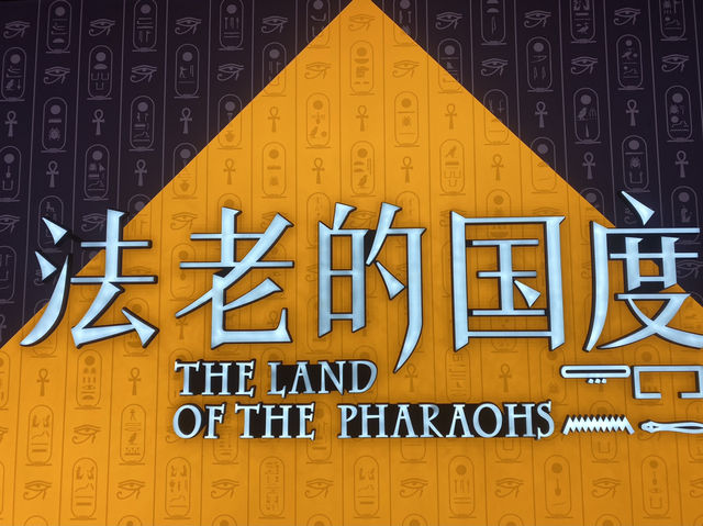 🏺在上海博物館，遇見遙遠的埃及文明✨