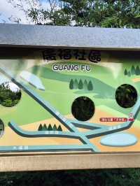 桃園觀音| 隱藏版 白千層綠色隧道 脫離城市喧囂