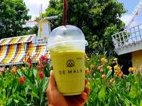 เดอ มาลา คาเฟ่และที่พักซ่อนตัวอยู่ท่ามกลางธรรมชาติ