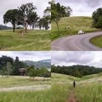 5 พิกัดเที่ยวเขาใหญ่ ดีต่อใจ🌳