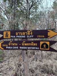 เที่ยวเดินป่าที่ อุทยานแห่งชาติแก่งตะนะ