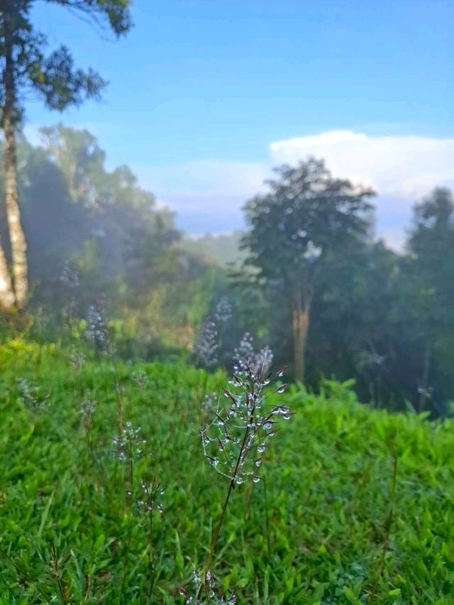 🏞️เขาพะเนินทุ่ง