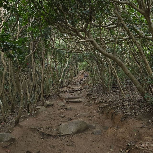 【雨日糸島散策】陰天自駕的另類風景