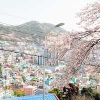 Gamcheon Culture Village🤴🏻🦊