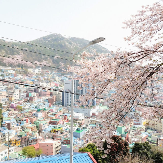 Gamcheon Culture Village🤴🏻🦊