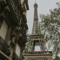 Paris in Bloom: A Picnic under the Eiffel Tower