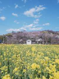 東海道新幹線：大阪去福島只需四小時