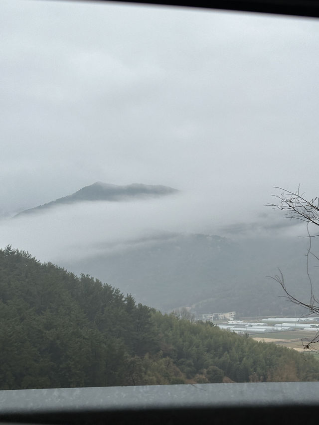 흐린 남해도 멋있을걸요