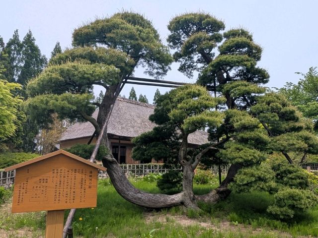 宮城ドライブ 蔵王からほど近い観光地、ふるさと村