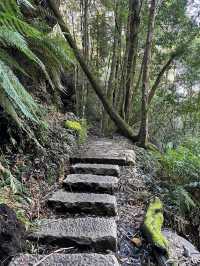Prince Henry Cliff Walk at Blue Mountain, Sydney