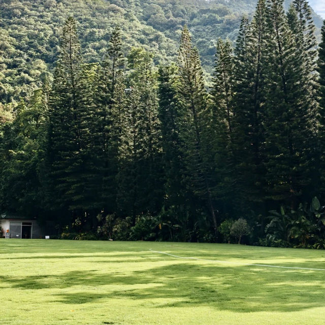 ~端午節快樂~席帽山森林公園~
