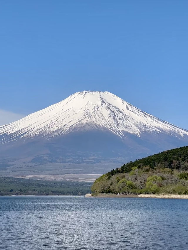 端午假期小旅行⛱️富士山三天兩夜自由行攻略🗻