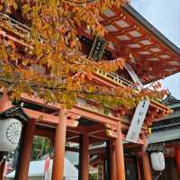 Finding Peace at Ikuta Jinja