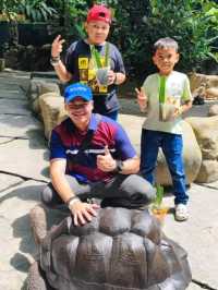 Farm in the City - An Eden of Animals and Nature