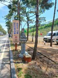 신비로운 산사, 영천 만불사