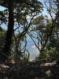 東京からすぐ行ける秘境🫣🌿豊かな自然と済んだ海の美しい無人島🏝