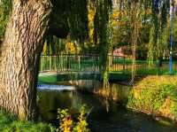 Where the River Knows Spring” — Longford Park Awakens 
