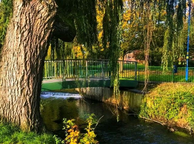 Where the River Knows Spring” — Longford Park Awakens 