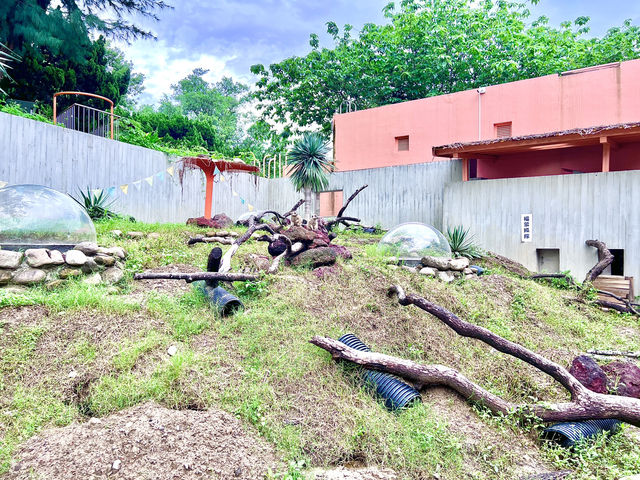 ［新竹旅遊］新竹市立動物園-親子共遊好去處🐒