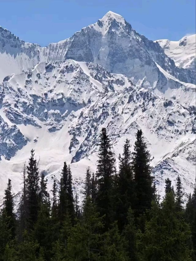 Frozen King: Winter’s Embrace on the Sacred Mount Gongga