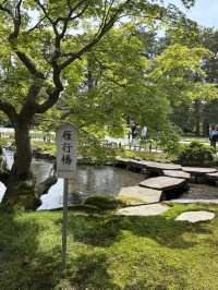【石川県・金沢市】大庭園！兼六園🌲