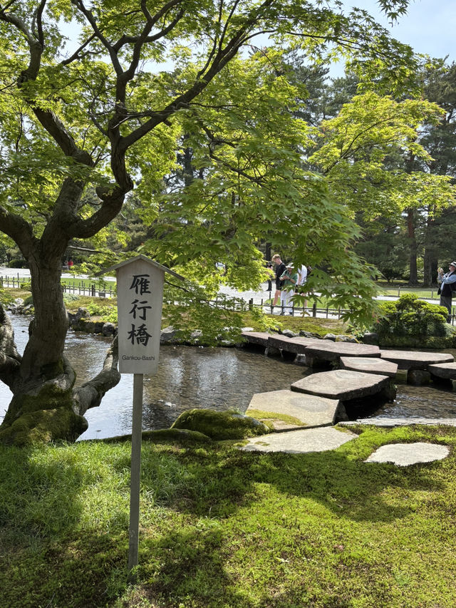 【石川県・金沢市】大庭園！兼六園🌲