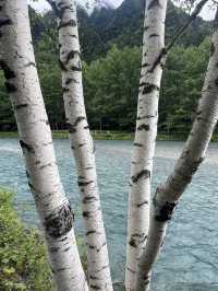 Summer Trek Through Kamikochi’s Alpine Wonderland