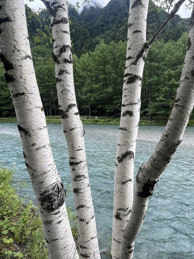 Summer Trek Through Kamikochi’s Alpine Wonderland