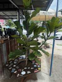 ร้านกาแฟนั่งชิว วิวสุสาน ย่านเลี่ยงหนองมน ชลบุรี