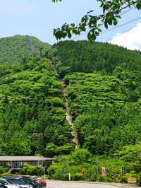 別府半日遊，賀見岳纜車，可飽覽整個別府灣