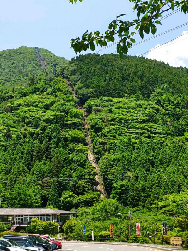 別府半日遊，賀見岳纜車，可飽覽整個別府灣
