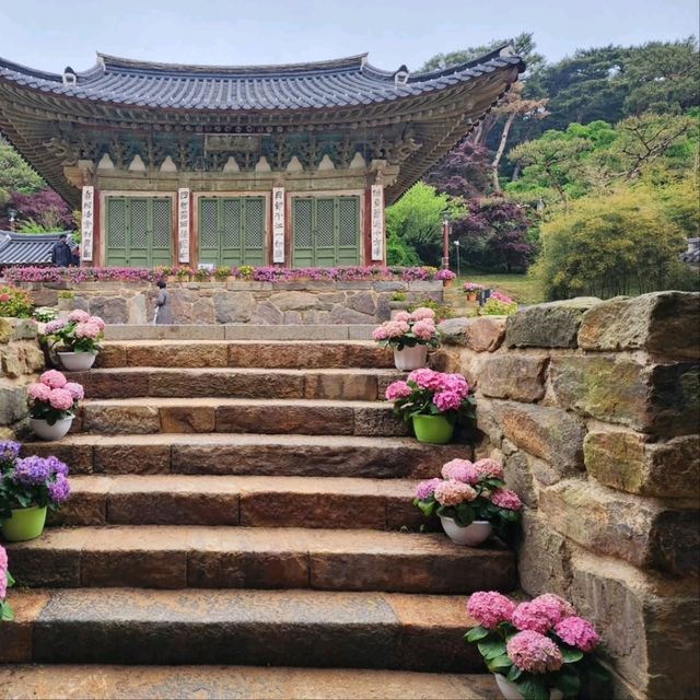 History, Vibes, and a Whole Lotta Calm