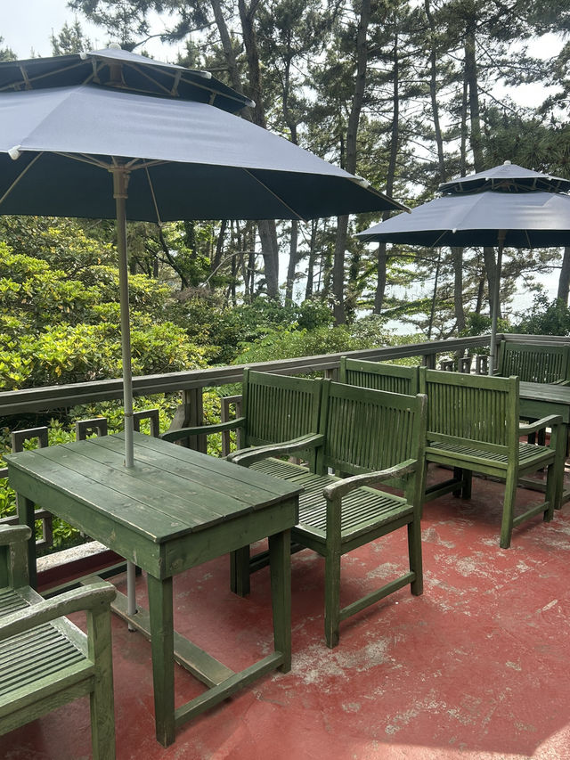 🍵 한옥에서 즐기는 바다와 자연, 소사나무 카페