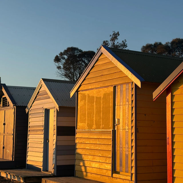 Brighton Beach | A Must-Visit in Melbourne 🇦🇺🎨