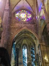 【スペイン】息を呑む美しさパルマ大聖堂⛪️