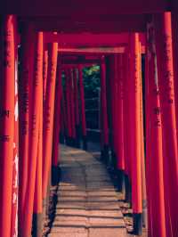 千本鳥居が目を惹く、東京の根津神社