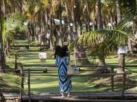 Coconut Dreams & Goat Glee at Chiang Mai’s Hidden Gem!  