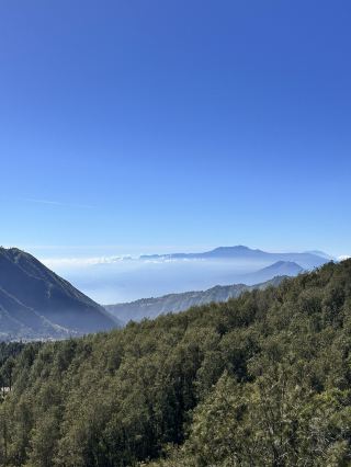 Sukapura Hotel Review