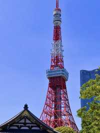 โอซาก้า🇯🇵