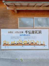 日本　大阪⇄北九州　弾丸フェリー旅